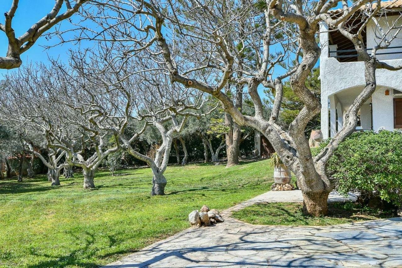 Light-Filled Home With Garden Near Beach Ανάβυσσος Εξωτερικό φωτογραφία