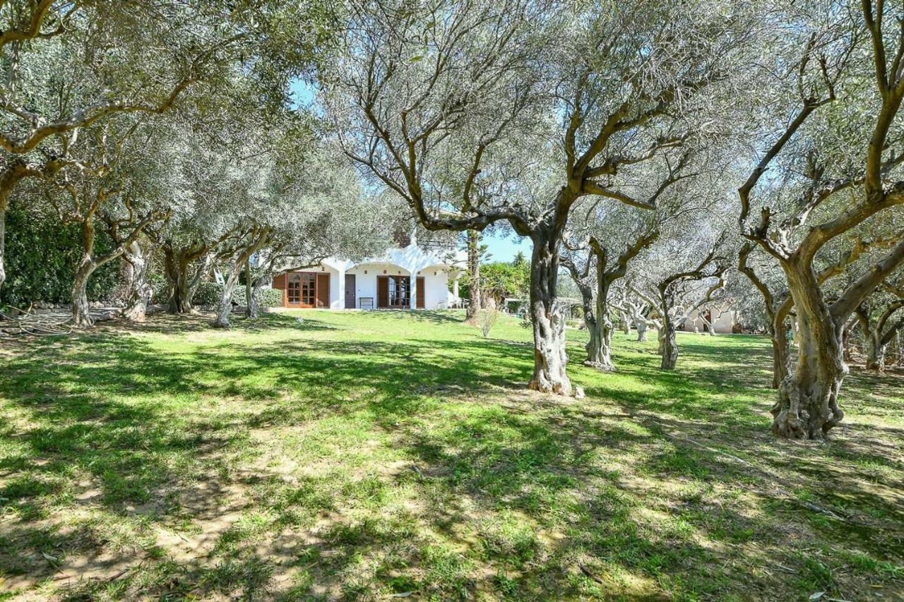 Light-Filled Home With Garden Near Beach Ανάβυσσος Εξωτερικό φωτογραφία