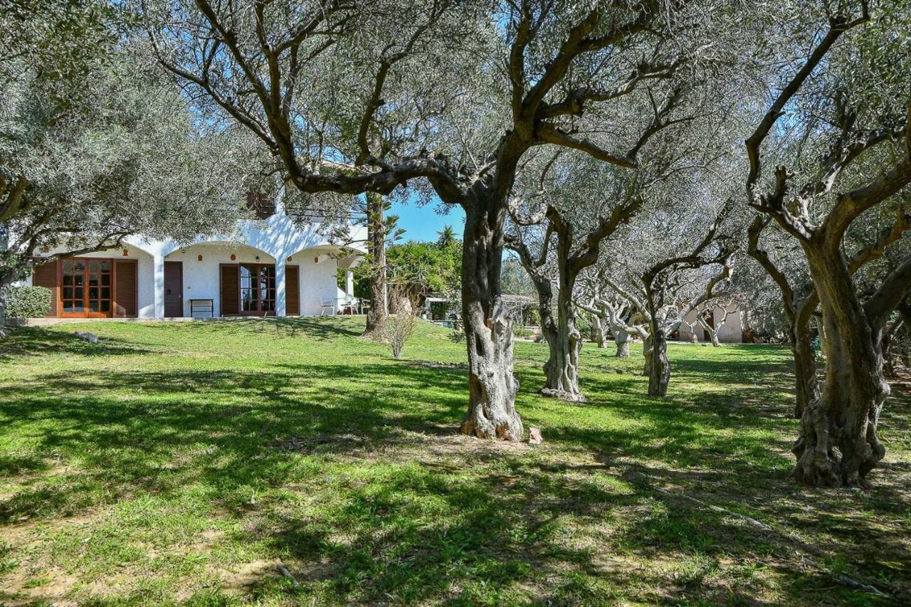 Light-Filled Home With Garden Near Beach Ανάβυσσος Εξωτερικό φωτογραφία